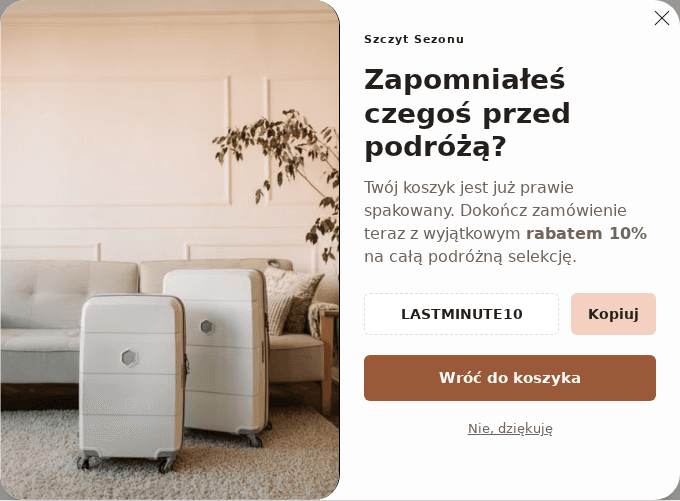 Podgląd kampanii: Odzyskiwanie koszyka przed podróżą