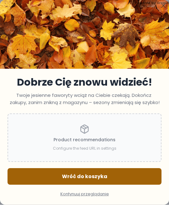 Podgląd kampanii: Powrót do koszyka: Dokończ jesienne zakupy