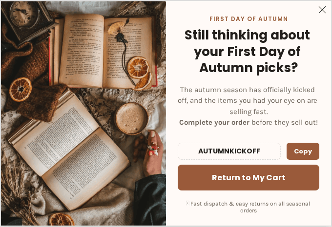 Campaign preview: Cart Recovery: Complete Your Autumn Selection